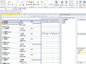 excel表格数据透视,Excel表格数据透视表列标签