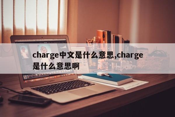 charge中文是什么意思,charge是什么意思啊