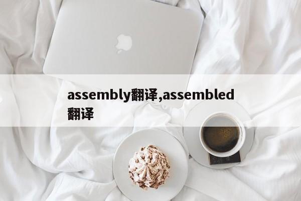 assembly翻译,assembled翻译